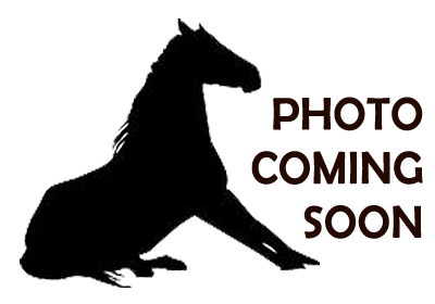 Image Coming Soon!