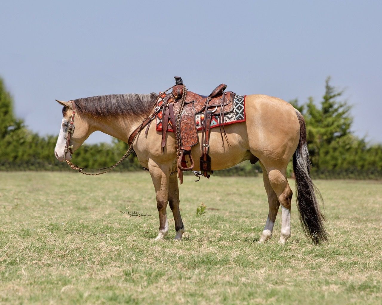 Blue Valley Ranch